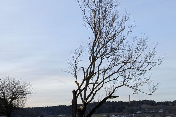 Foto: Dr. Andreas Zahn Foto: Dr. Andreas Zahn