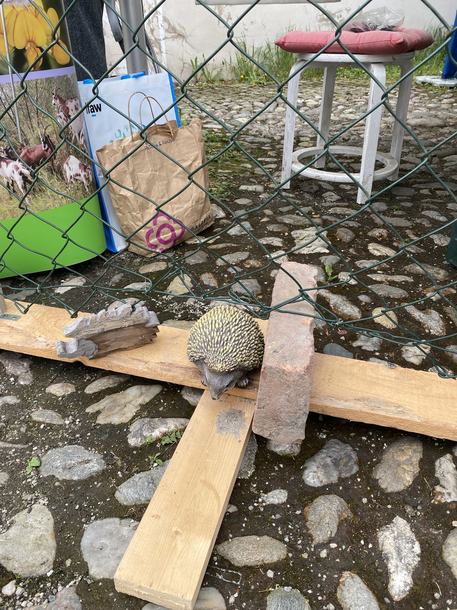 Umwelttag 2025 Umwelttag 2025