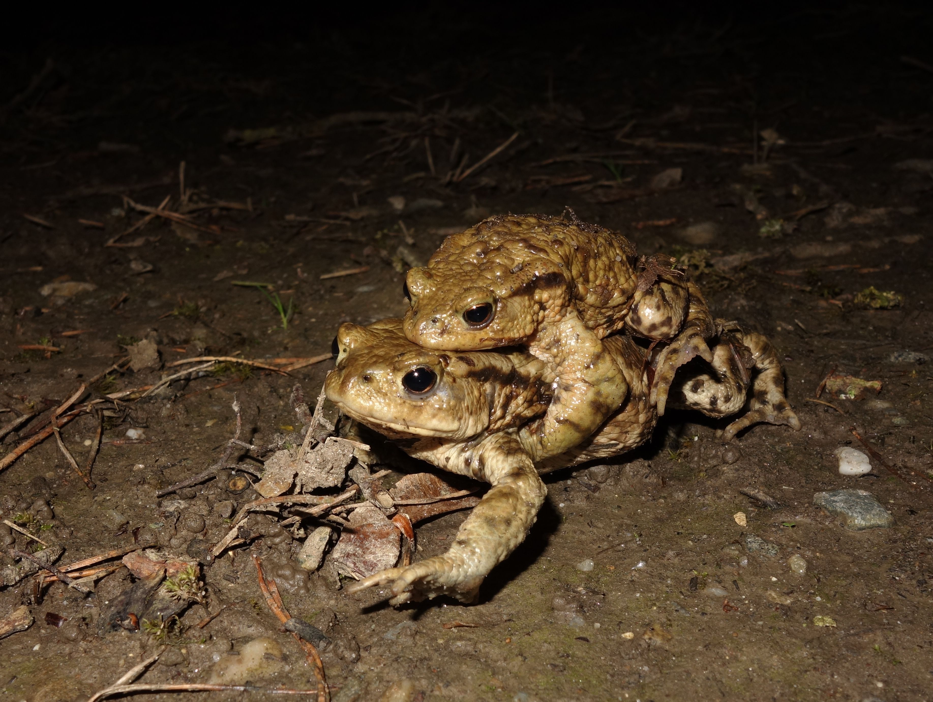 Foto: Dr. Andreas Zahn Foto: Dr. Andreas Zahn