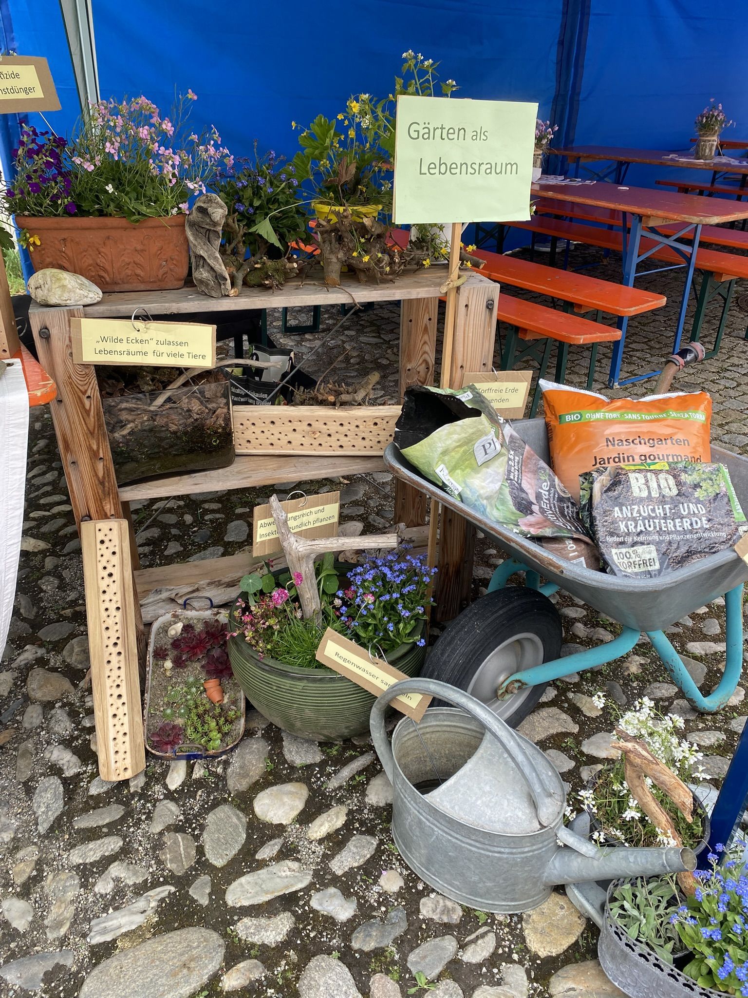 Umwelttag 2025 Umwelttag 2025