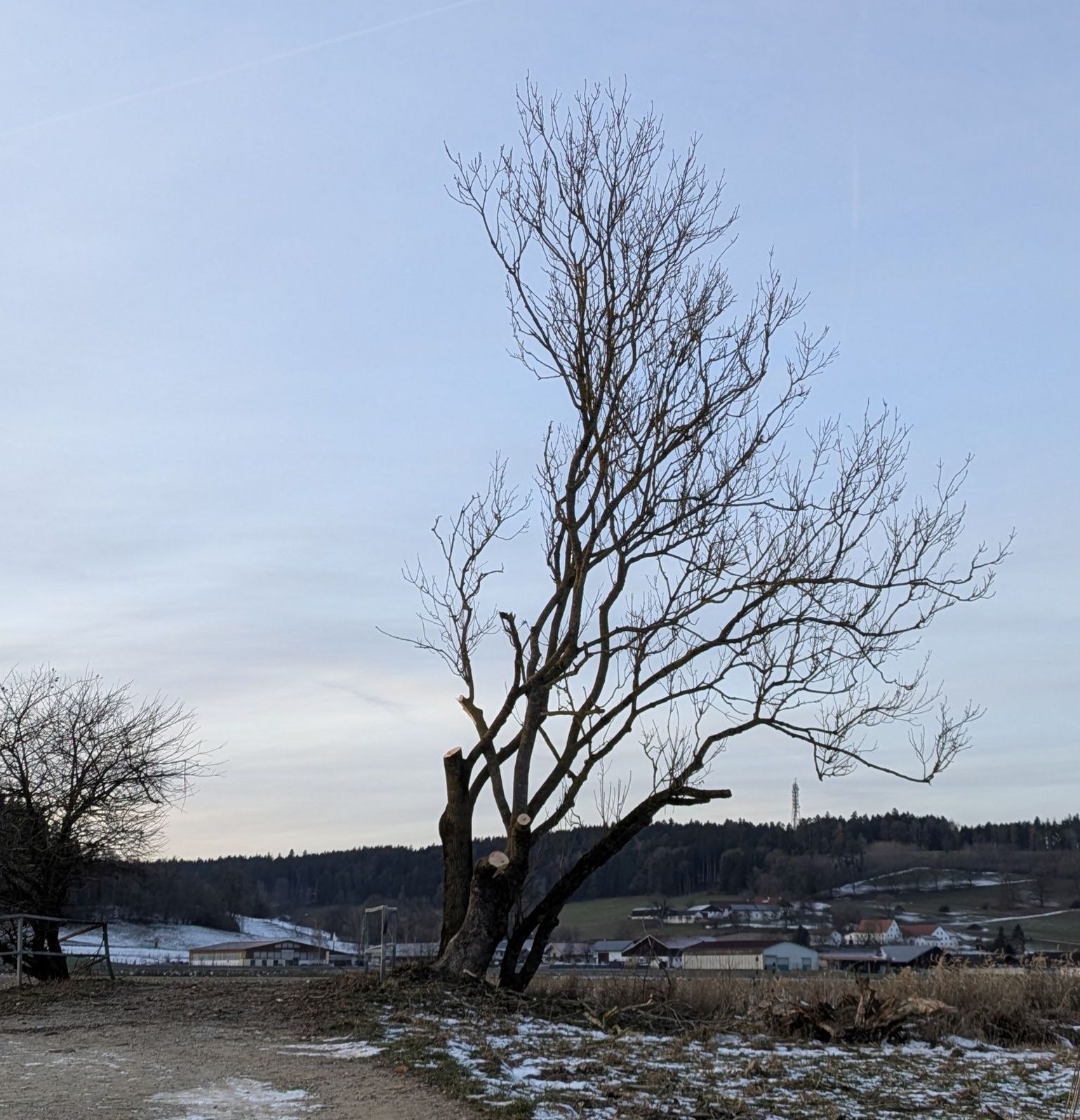 Foto: Dr. Andreas Zahn Foto: Dr. Andreas Zahn