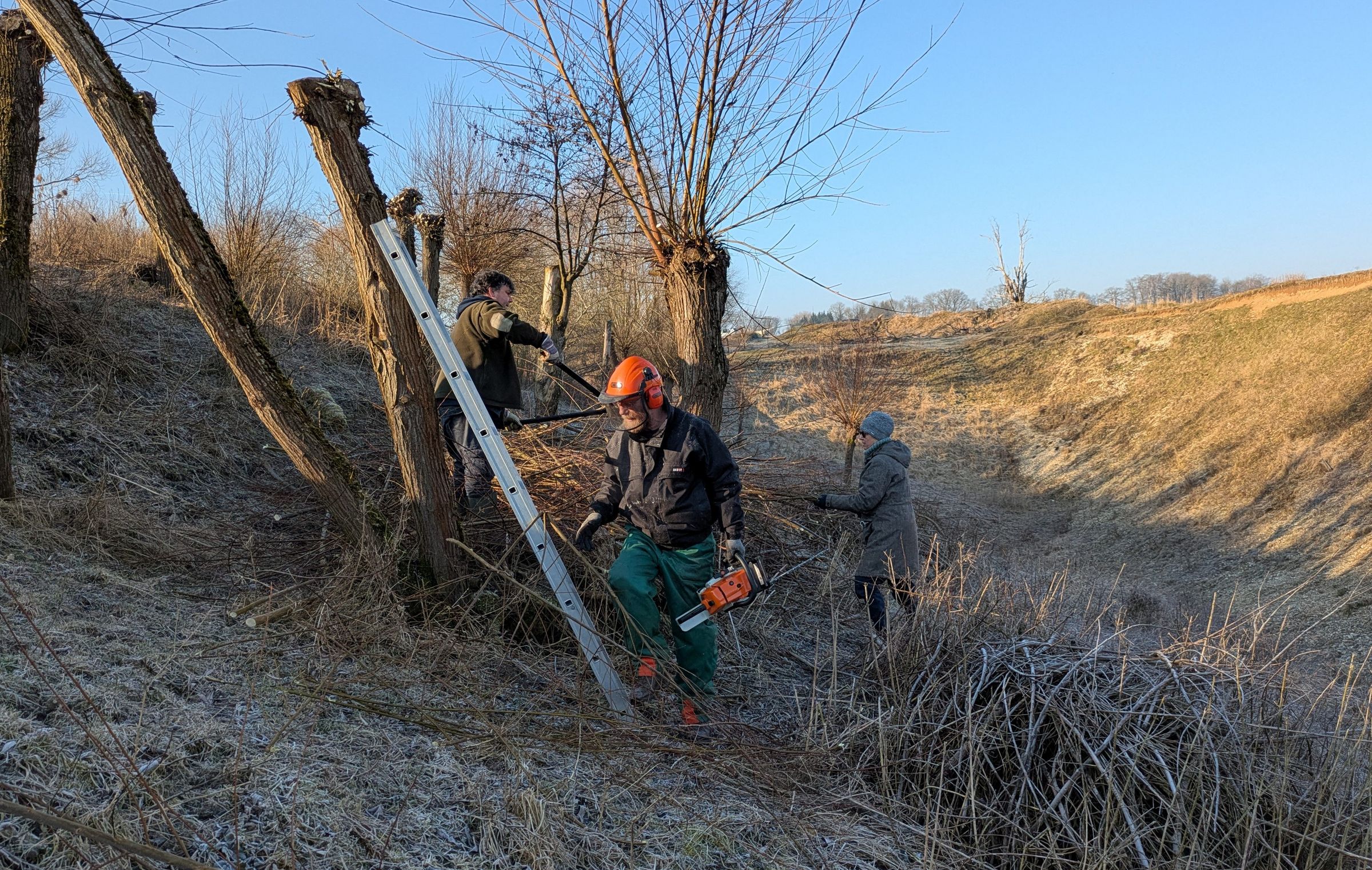 Foto: Dr. Andreas Zahn Foto: Dr. Andreas Zahn