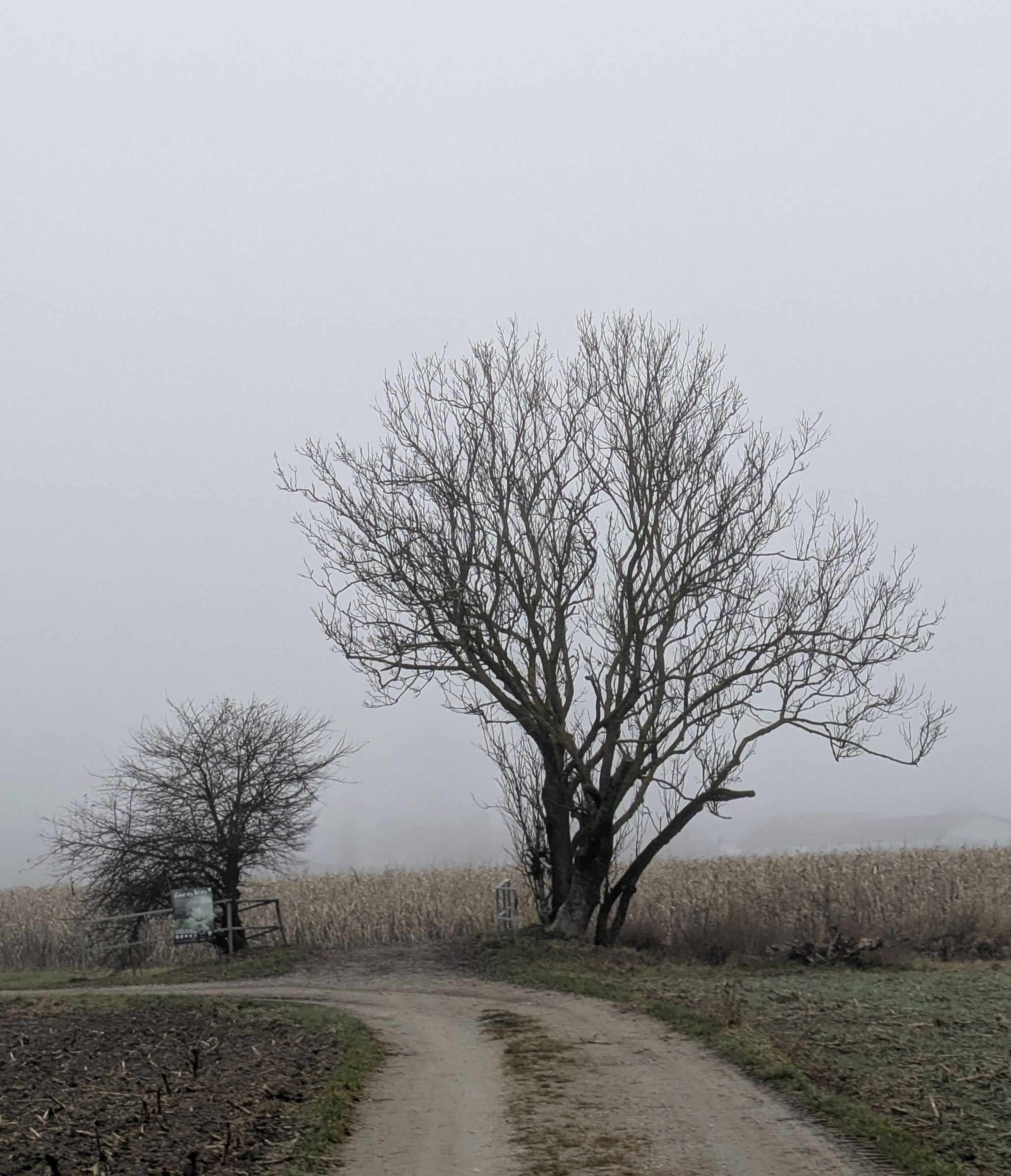 Foto: Dr. Andreas Zahn Foto: Dr. Andreas Zahn