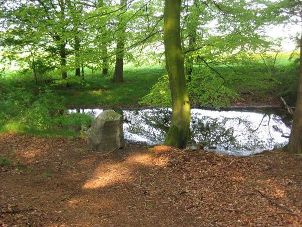 Foto: Lucia Karrer Foto: Lucia Karrer