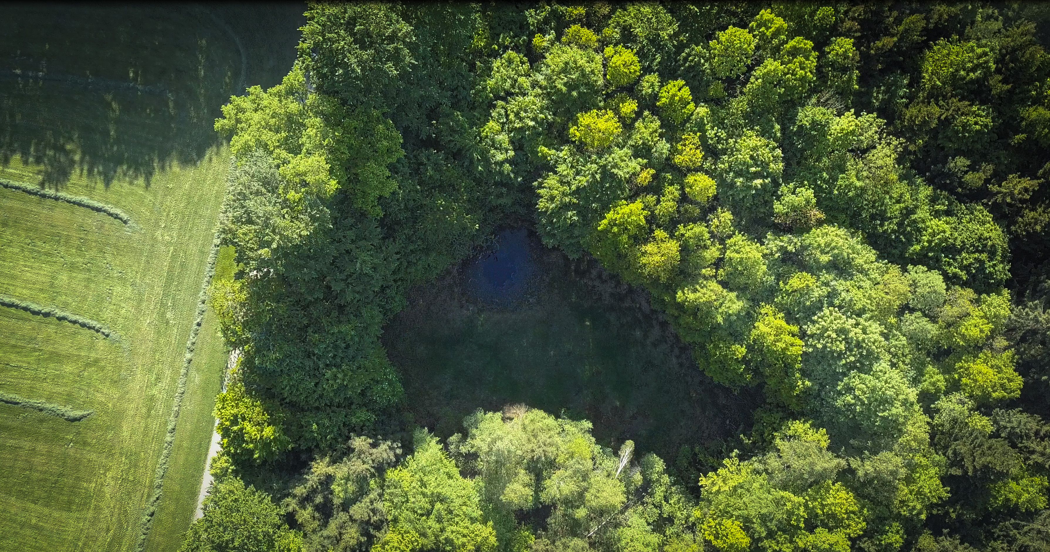 Foto: Stefan Biebl Foto: Stefan Biebl