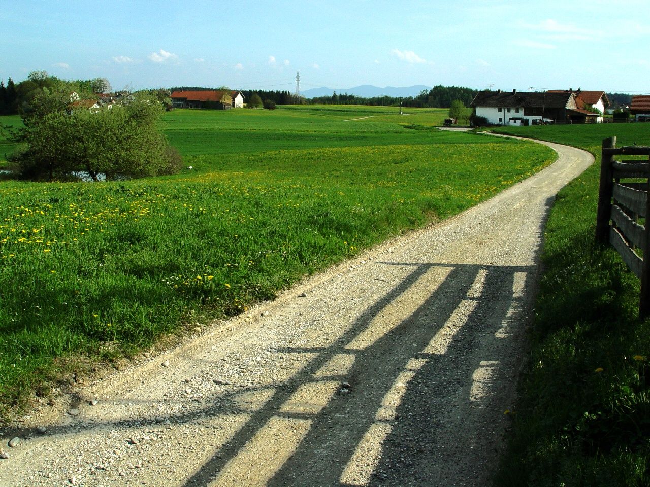 Foto: Jo Fischer Foto: Jo Fischer