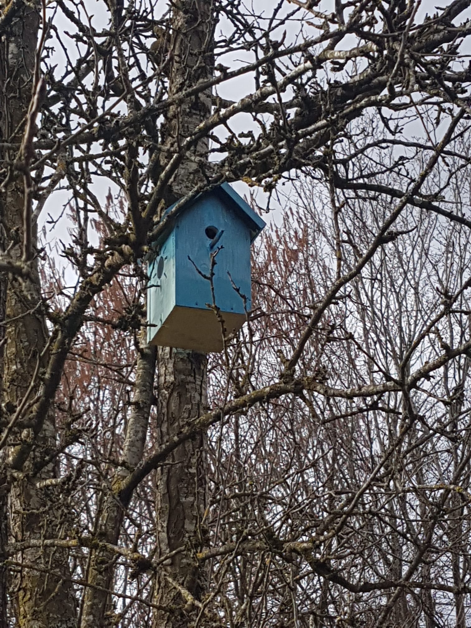 Ein fertiger Niskasten Ein fertiger Niskasten