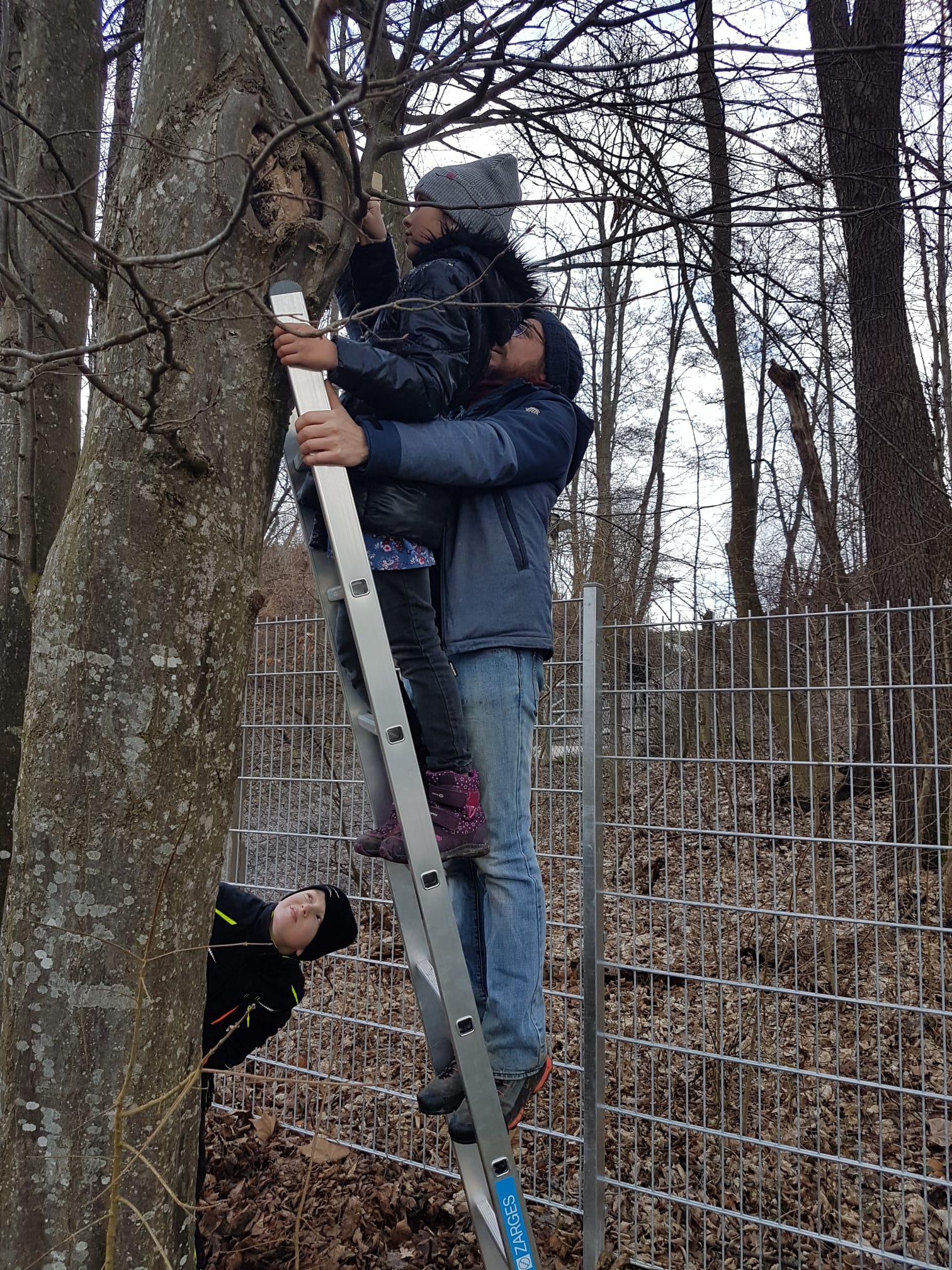 Aufhängen der Nistkästen Aufhängen der Nistkästen