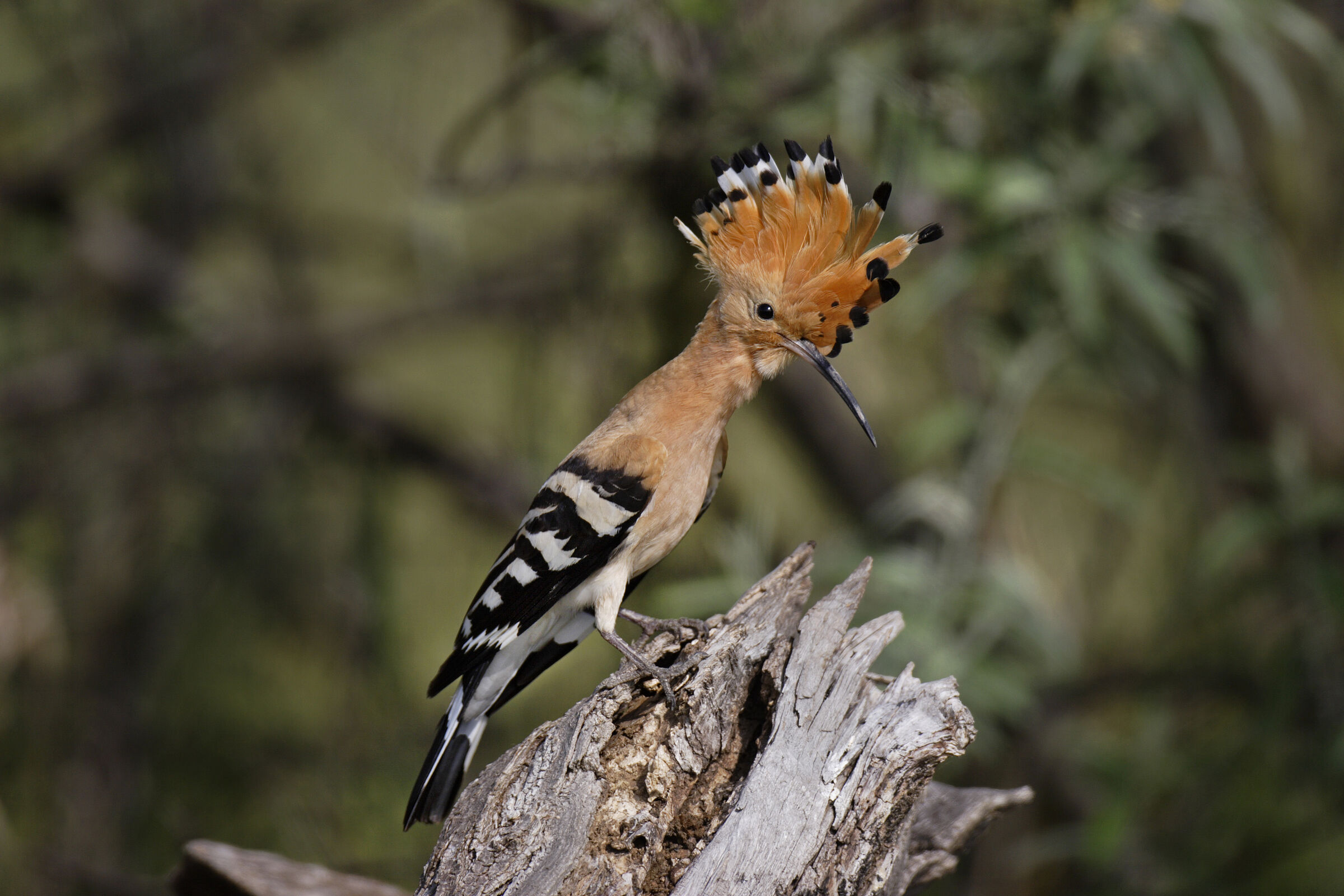 Foto: Marcus Bosch Foto: Marcus Bosch