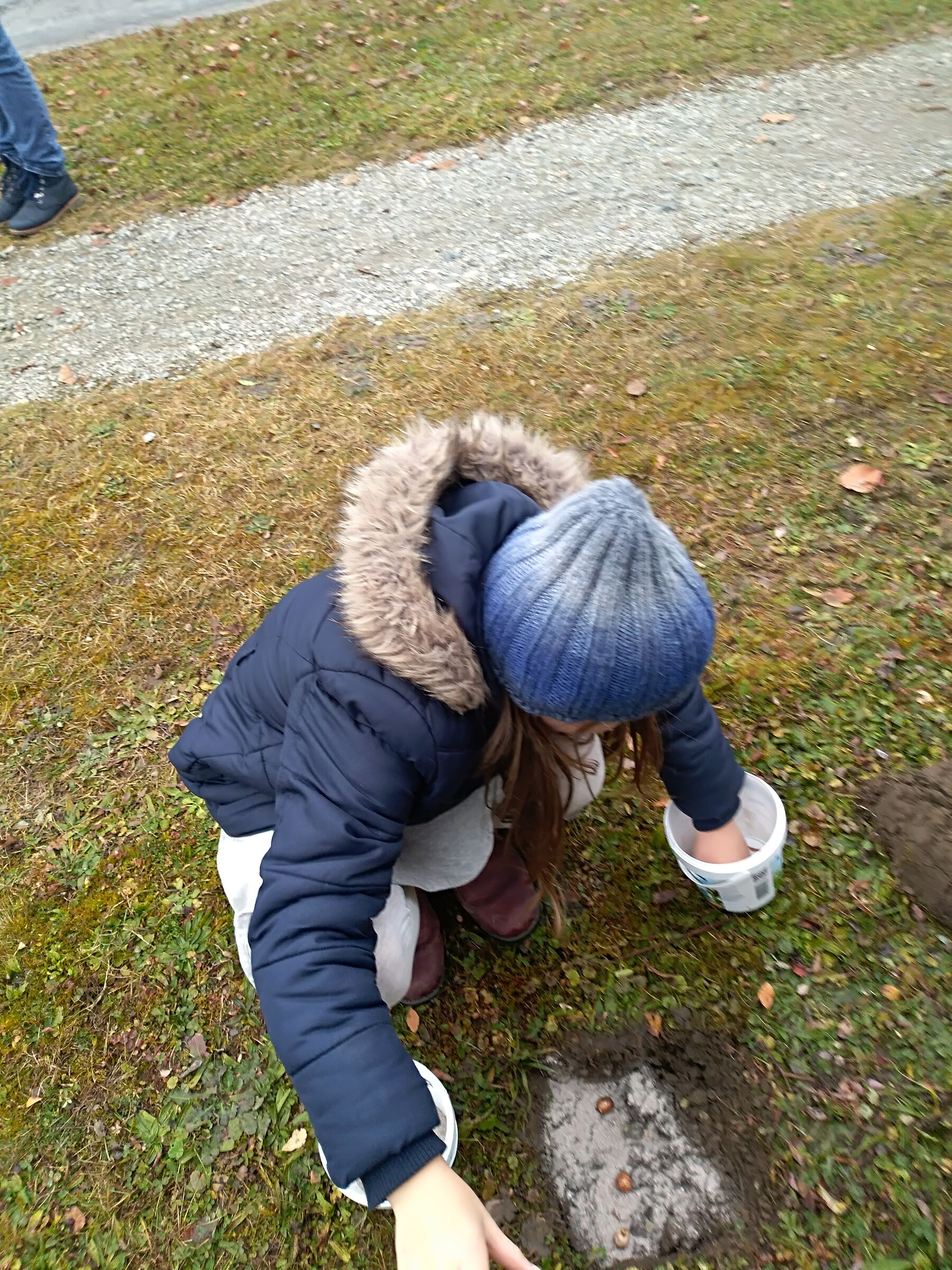 Krokusse für den Spielplatz