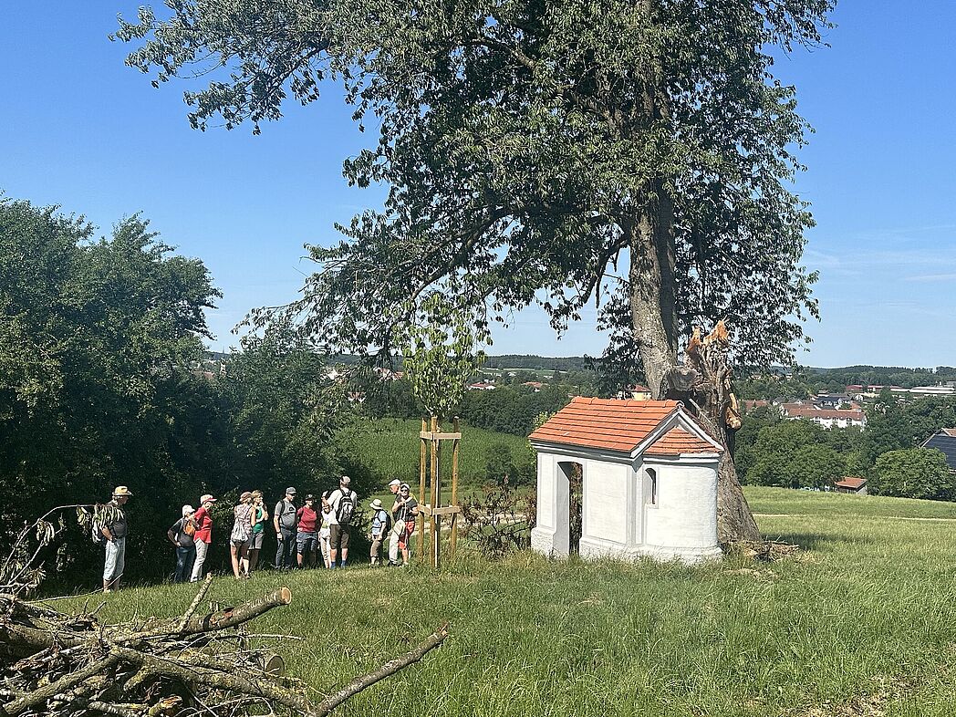 Nach einer ersten kurzen Unterbrechung bei einer kleinen Kapelle (mit Eintragung ins Gästebuch)... Nach einer ersten kurzen Unterbrechung bei einer kleinen Kapelle (mit Eintragung ins Gästebuch)...