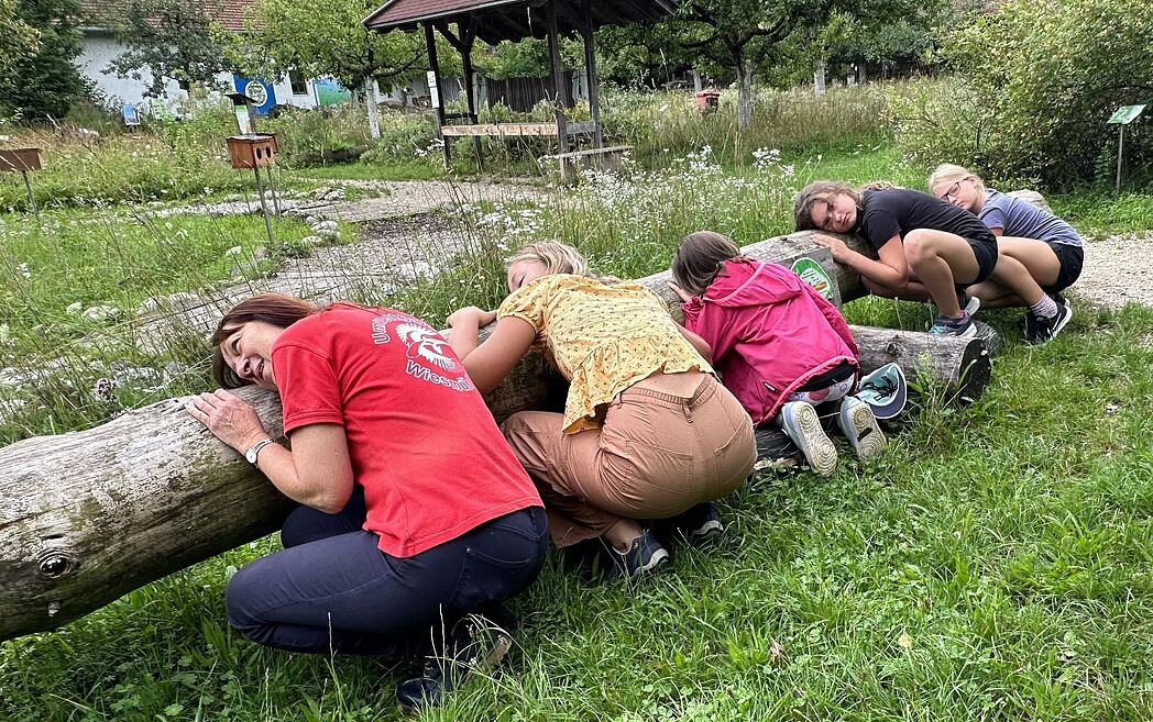 Kann ein Baum Schall übertragen? Eindeutig! Kann ein Baum Schall übertragen? Eindeutig!
