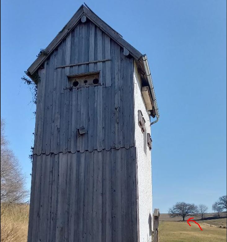 Trafohäuschen mit einem gekennzeichneten Baum, wo sich das Neuner-Kreuz befindet