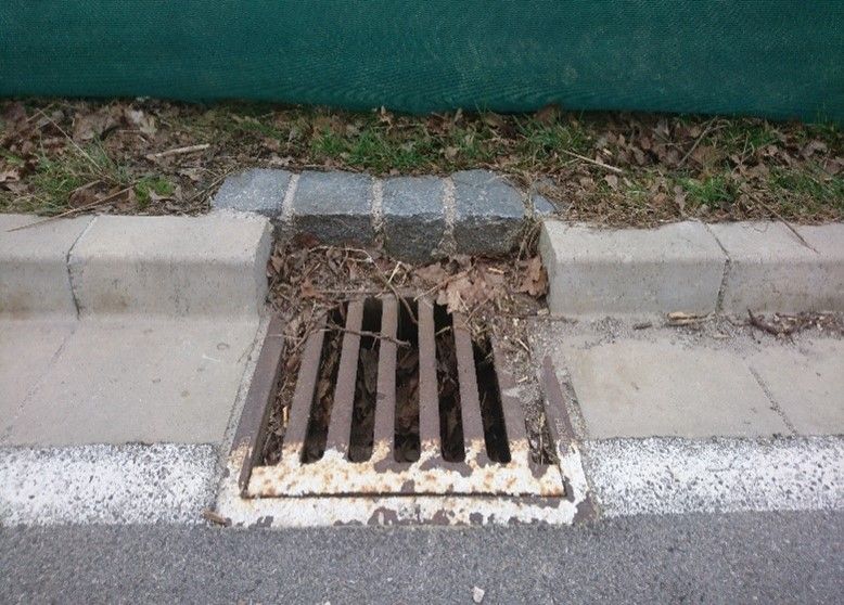 Zu sehen: Ein Gully und ein Randstein - eine tödliche Falle für Kröten