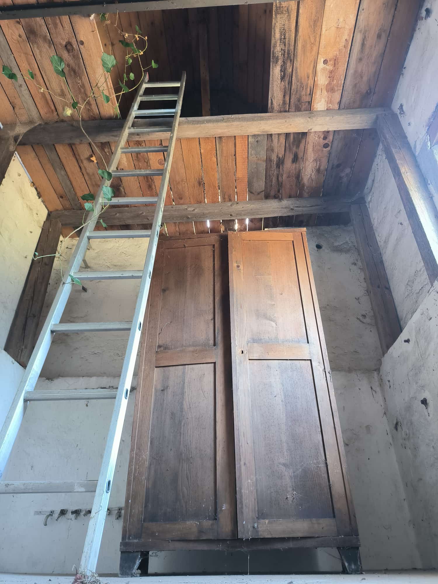 Das Trafohäuchen von innen mit einer Holzleiter nach oben