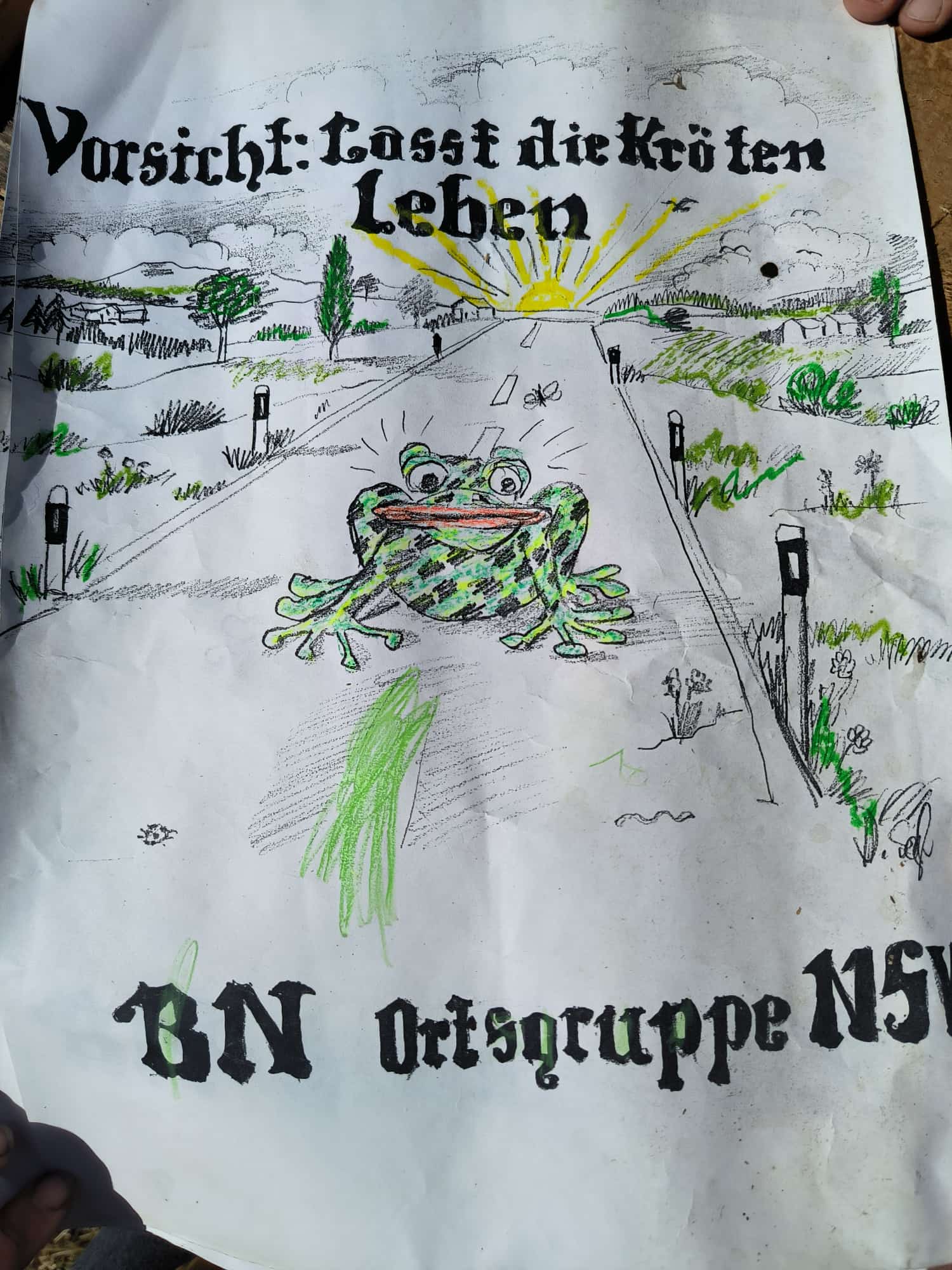 Ein Bild, dass dazu auffordert, die Kröten leben zu lassen, wenn man auf der Straße fährt