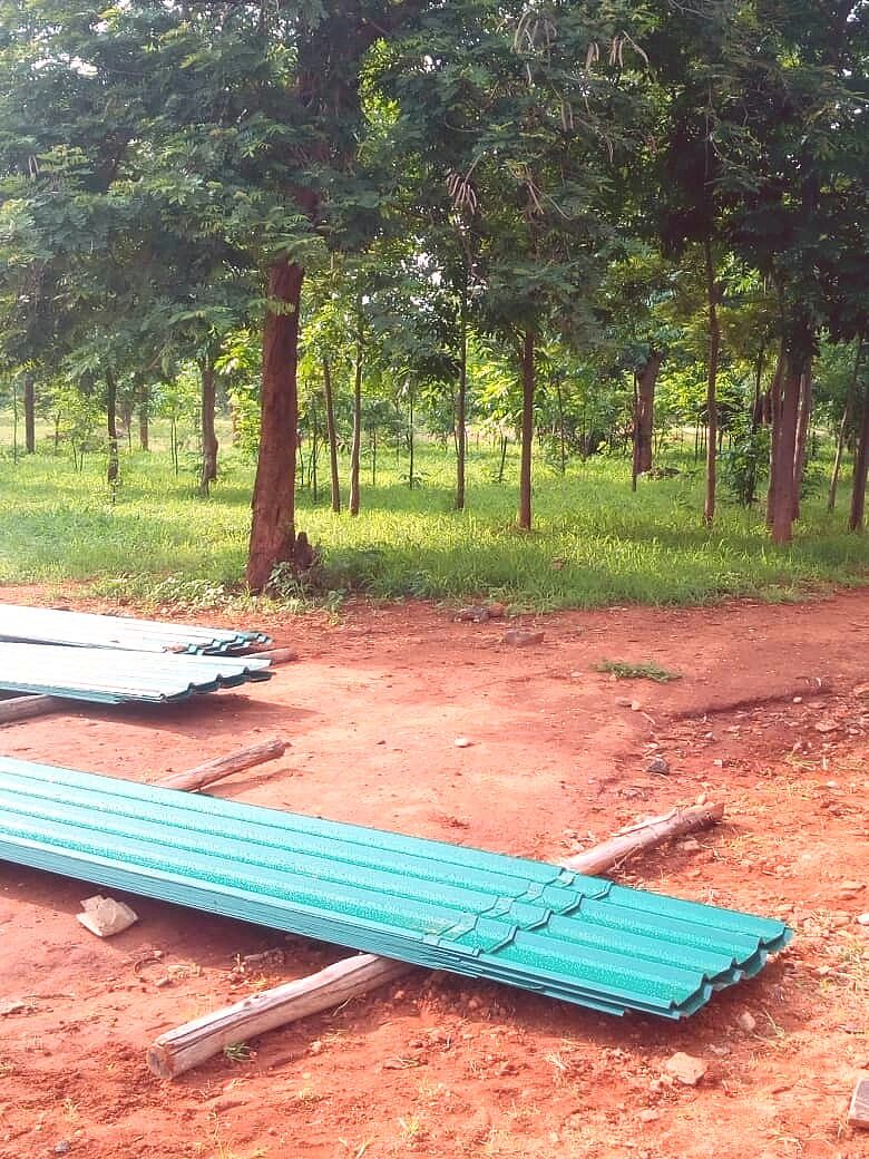 Baumpflanzung in Kongwa Baumpflanzung in Kongwa